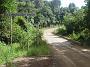 elands-bulga 022